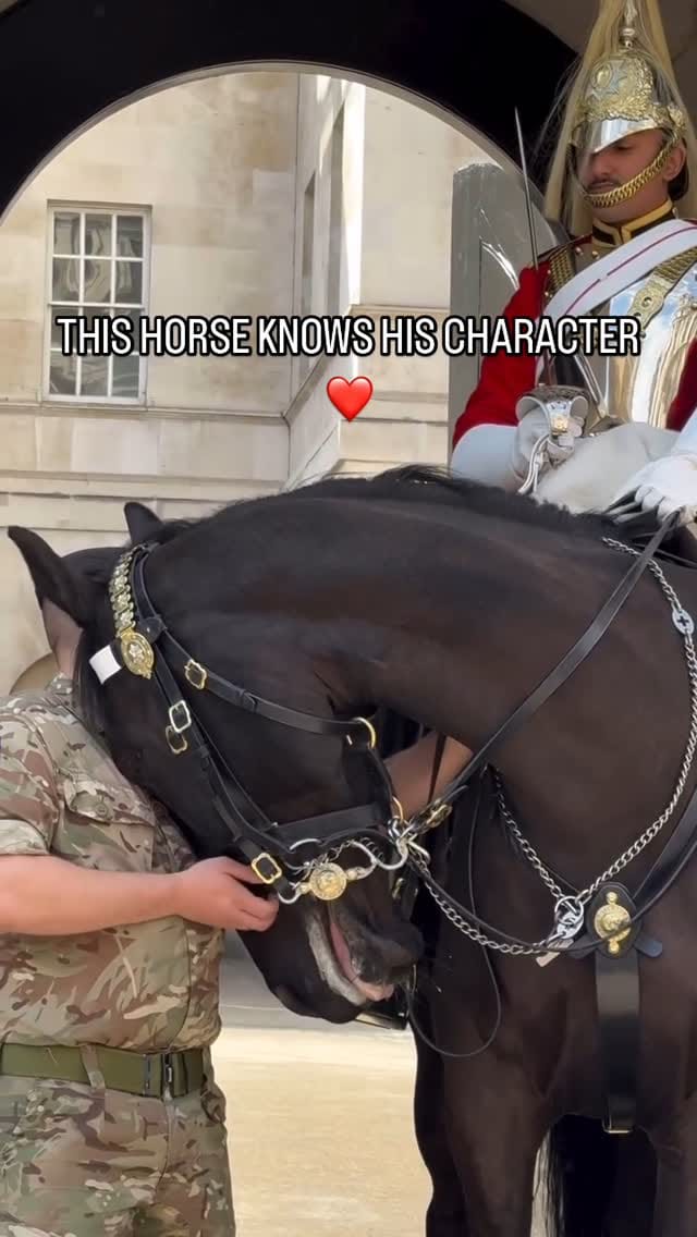 Post 8 by Nikki Sharp on Instagram (video)