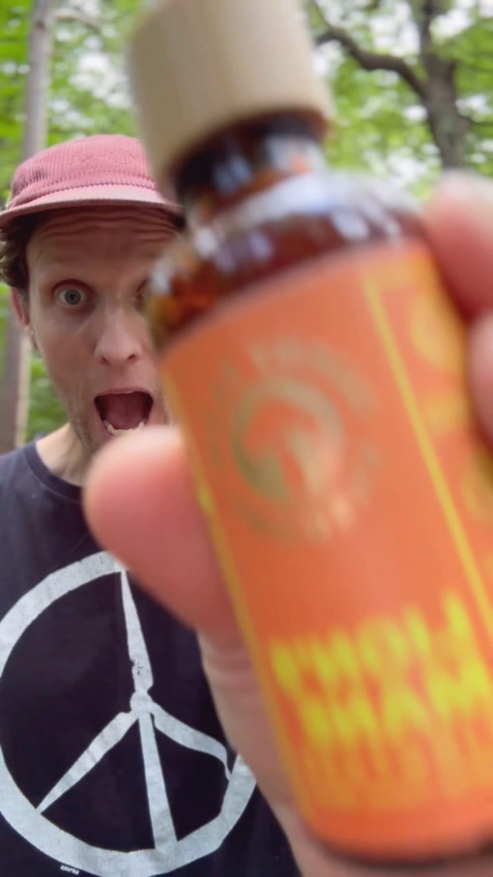 Post 6 by London Grown Lion’s Mane 🧠🍄 on Instagram (video)