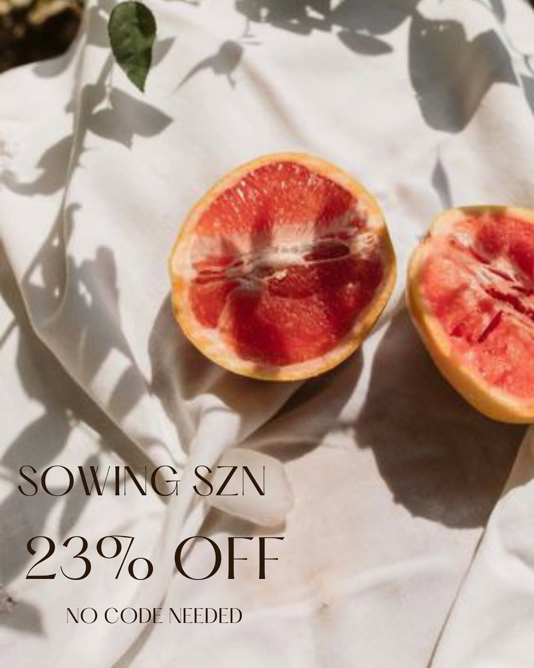 Post 1 by Wild Seed Botanicals | Skincare on Instagram (image)