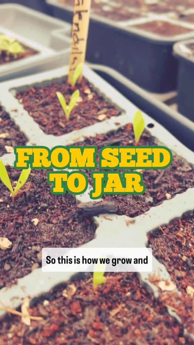 Post 10 by Earths Farm Skincare🏴󠁧󠁢󠁷󠁬󠁳󠁿 on Instagram (video)