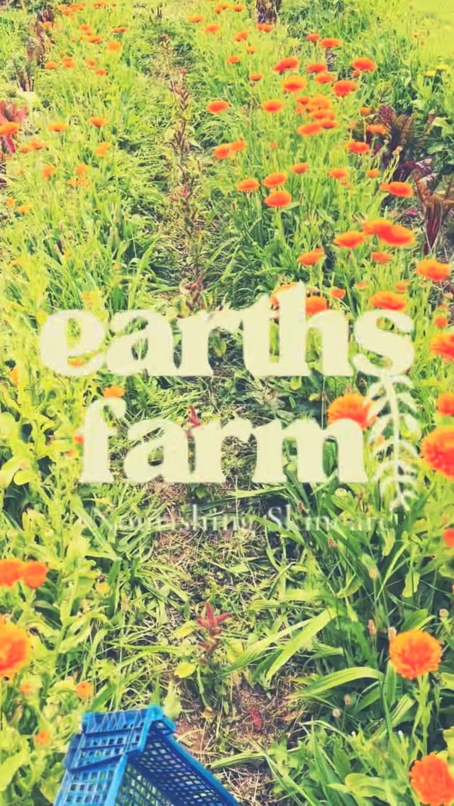 Post 4 by Earths Farm Skincare🏴󠁧󠁢󠁷󠁬󠁳󠁿 on Instagram (video)