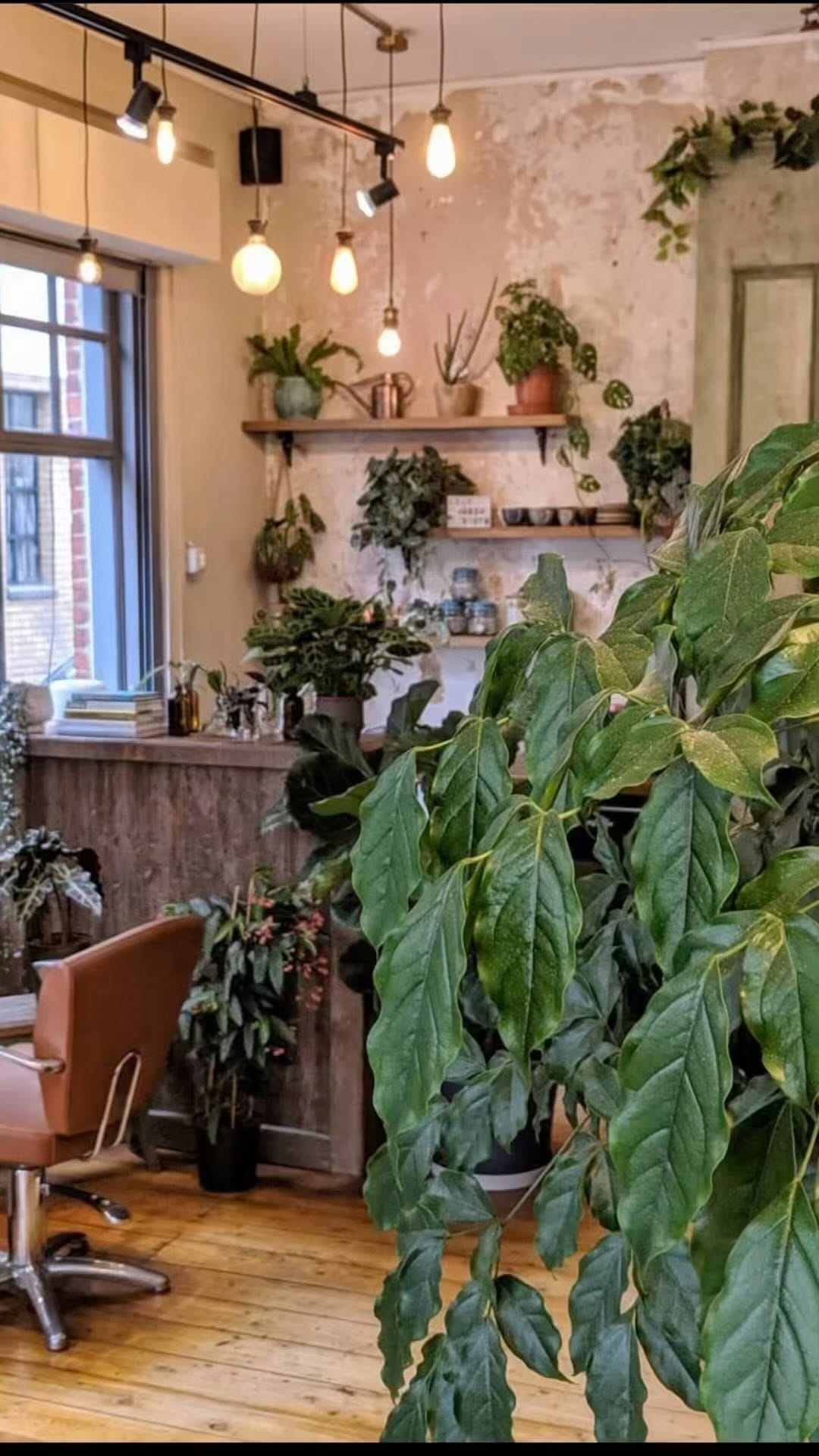 Post 9 by Cult and Bloom salon on Instagram (video)
