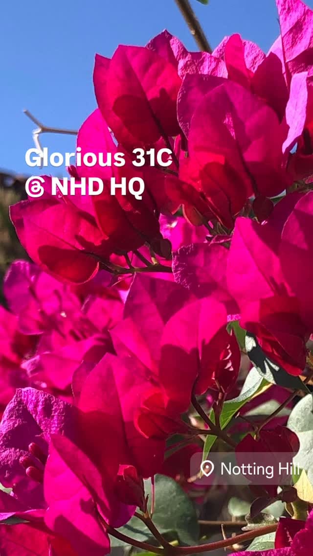 Post 3 by NHD on Instagram (video)