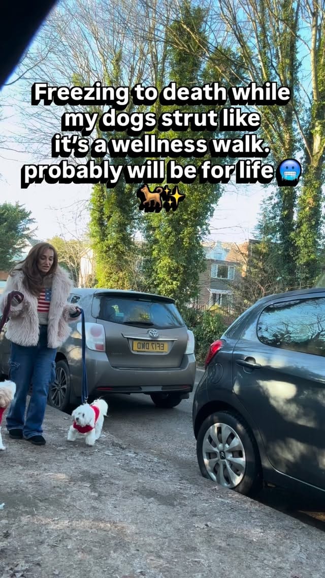 Post 3 by DENA DE VOS on Instagram (video)