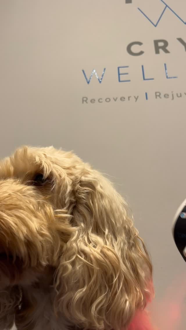 Post 1 by Essex Cryo Wellness on Instagram (video)