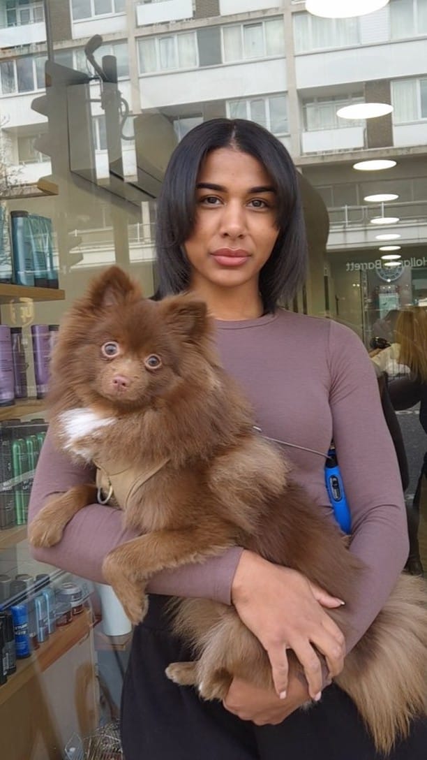 Post 9 by HAIR  BY NOELLA | STORYTELLER on Instagram (video)