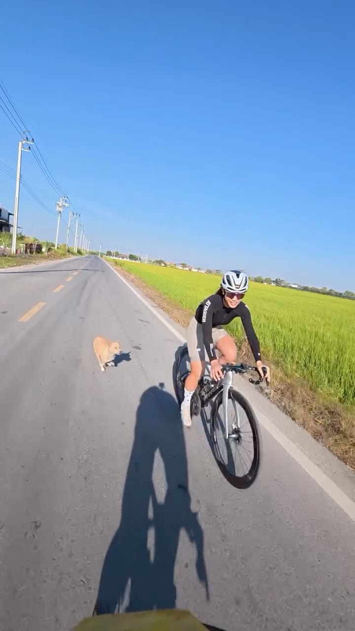 Post 3 by Pin Phianpattanawit on Instagram (video)