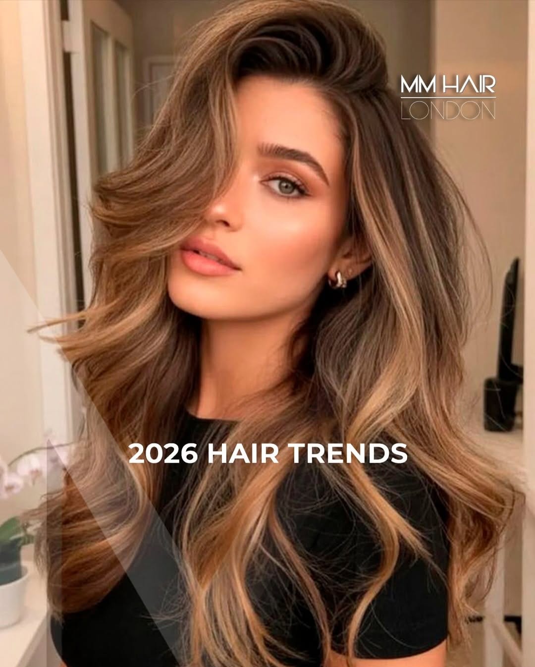 Post 7 by BALAYAGE MASTER TEAM on Instagram (carousel)