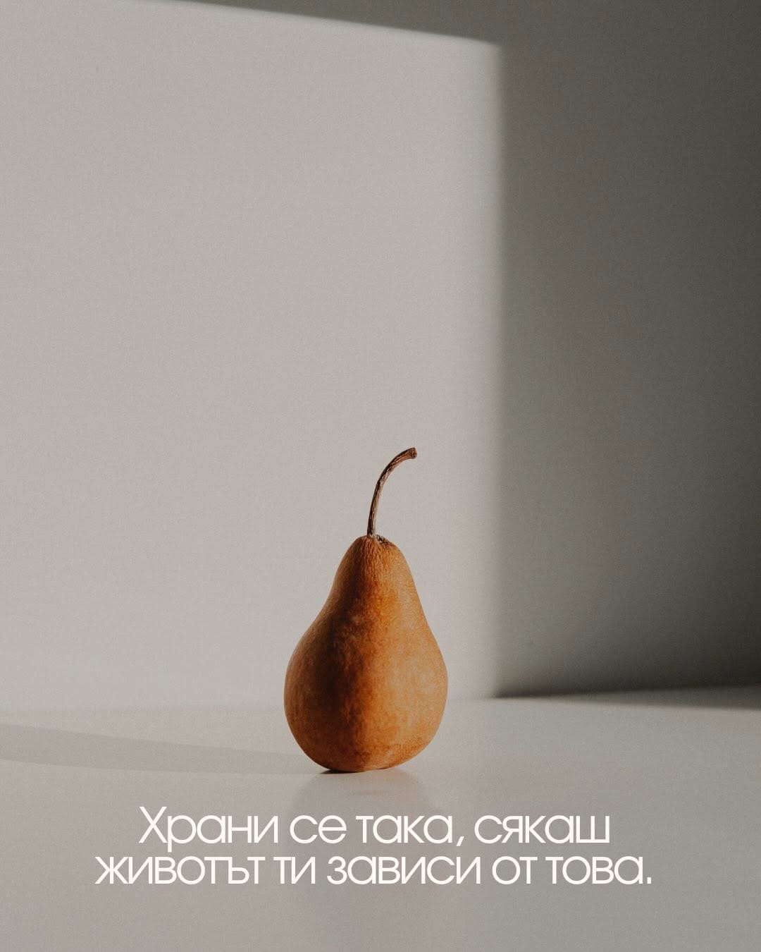 Post 6 by Elena Petreliyska on Instagram (carousel)