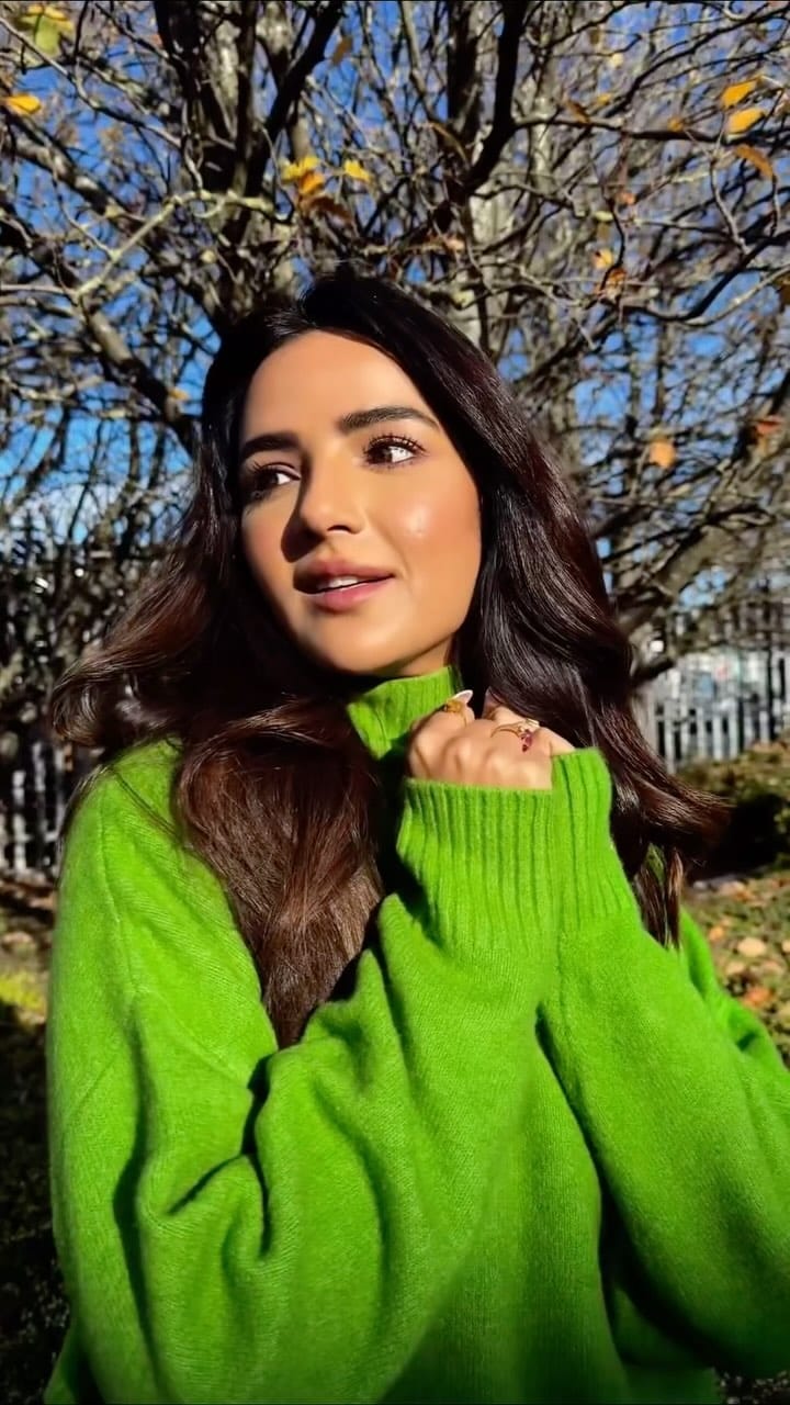 Post 8 by Priti Khanna on Instagram (video)