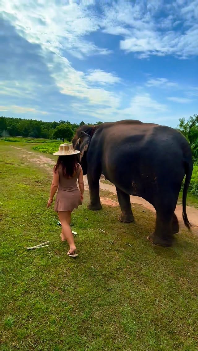 Post 4 by Ella Adele Aesthetics on Instagram (video)
