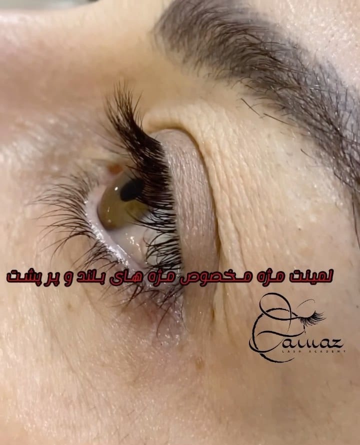 Post 3 by فرنازنجف زاده on Instagram (video)