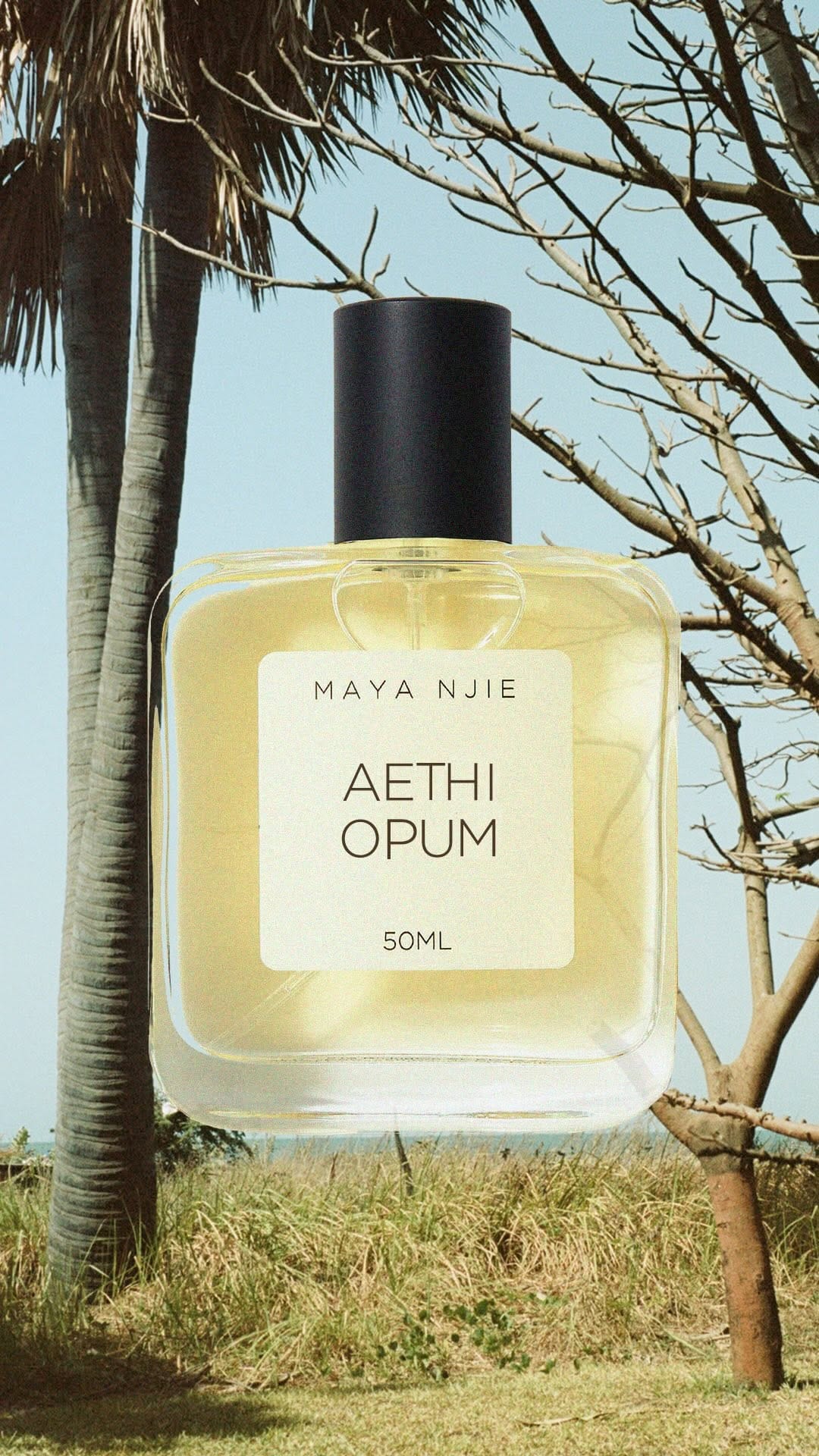 Post 4 by maya njie perfumes on Instagram (video)