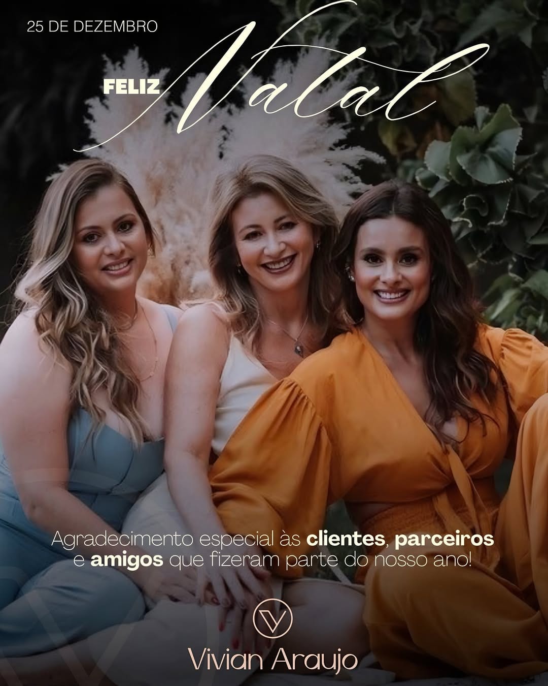 Post 3 by Vivian Araujo on Instagram (image)