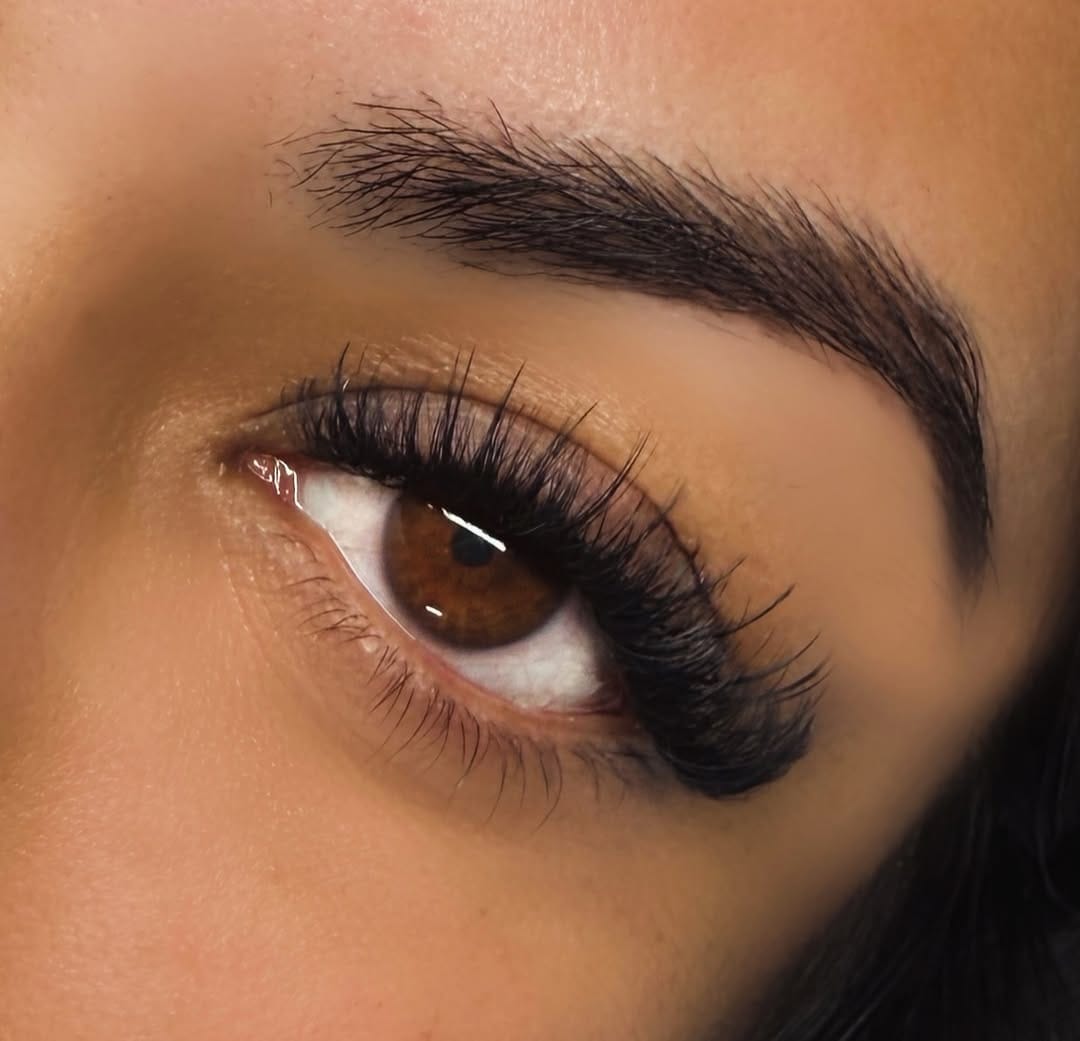 Post 4 by OC Lash Artist | Lash Fox on Instagram (image)