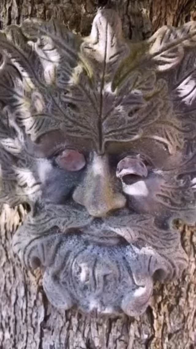 Post 9 by Marie Reynolds on Instagram (video)