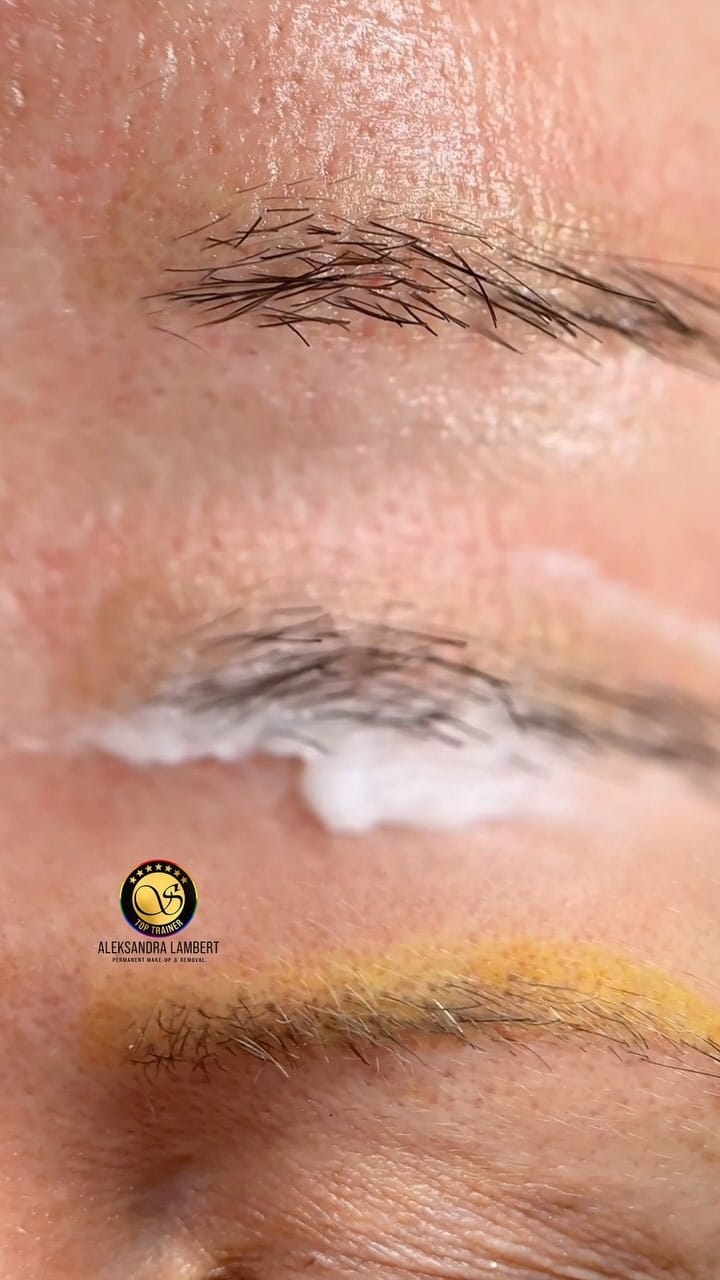 Post 10 by Aleksandra Lambert | PMU Judge & Trainer on Instagram (video)