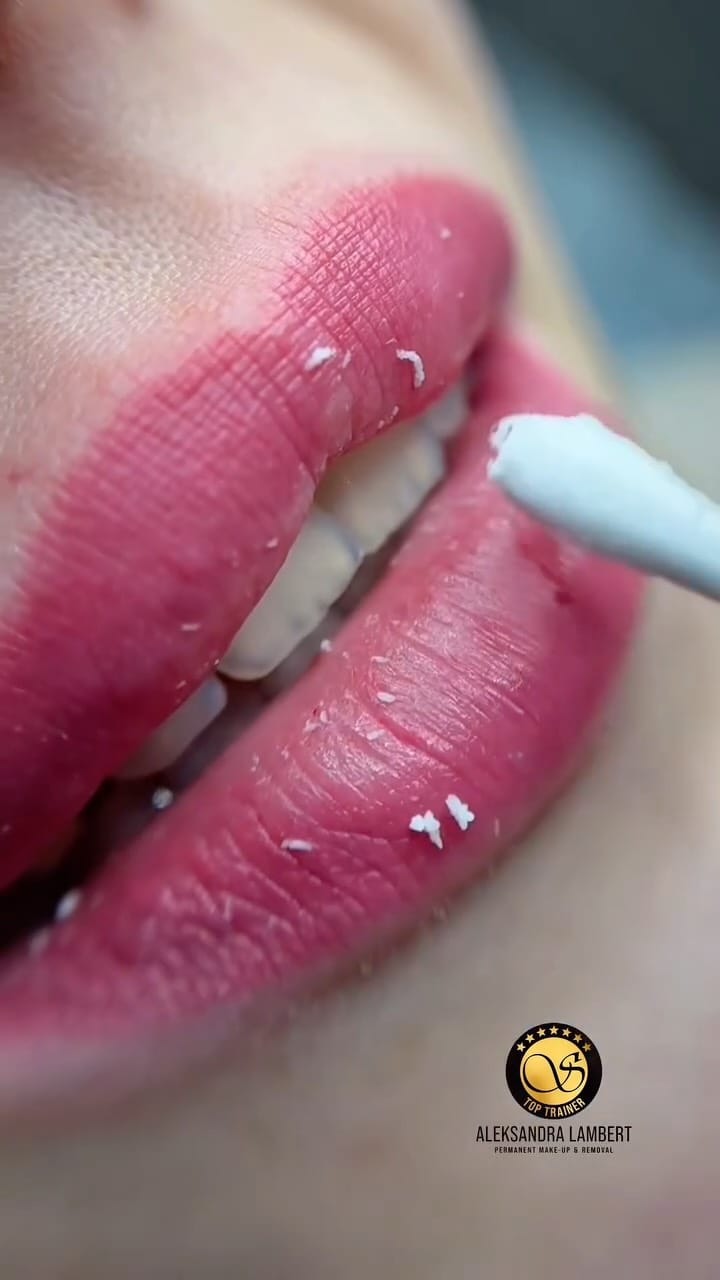 Post 4 by Aleksandra Lambert | PMU Judge & Trainer on Instagram (video)