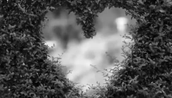 Post 1 by Juba Organics on Instagram (video)