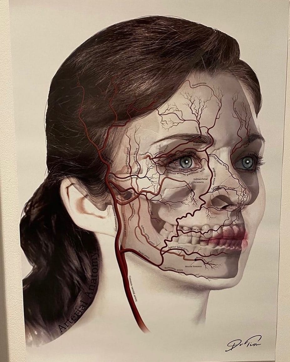 Post 4 by SK:N VANITY AESTHETICS SURREY💉 on Instagram (image)