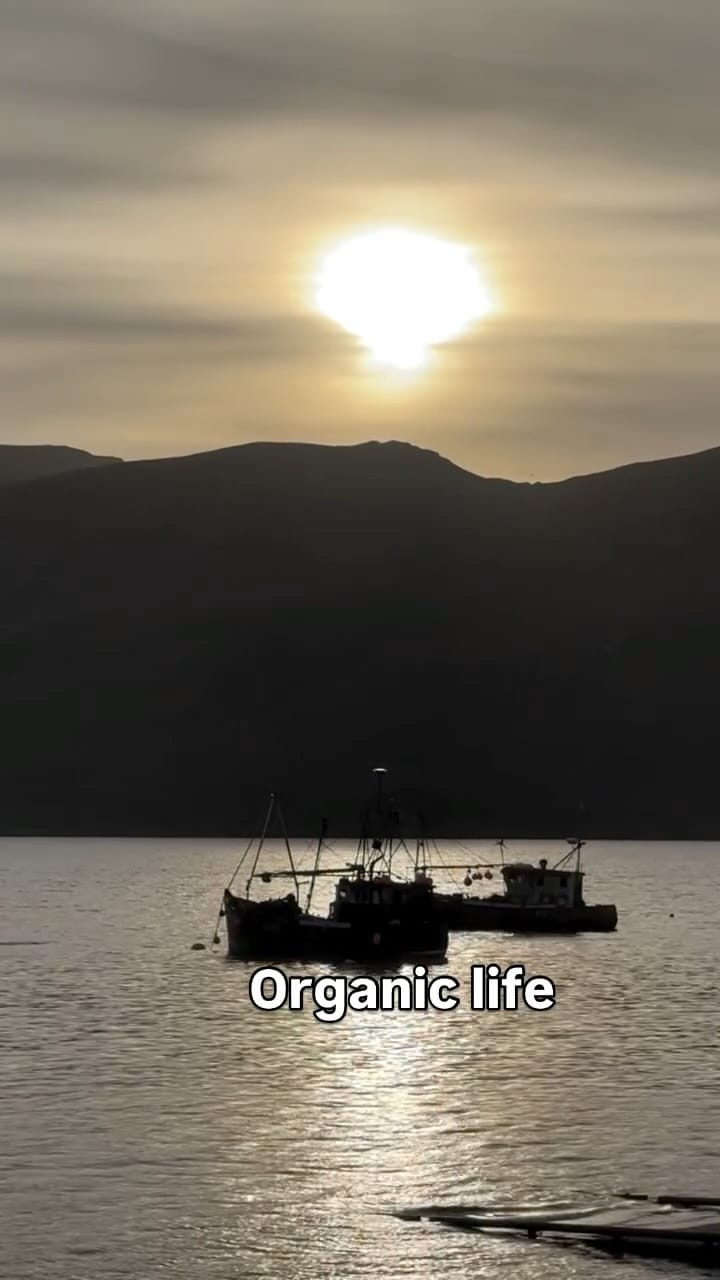 Post 8 by Stefano Pasianot on Instagram (video)