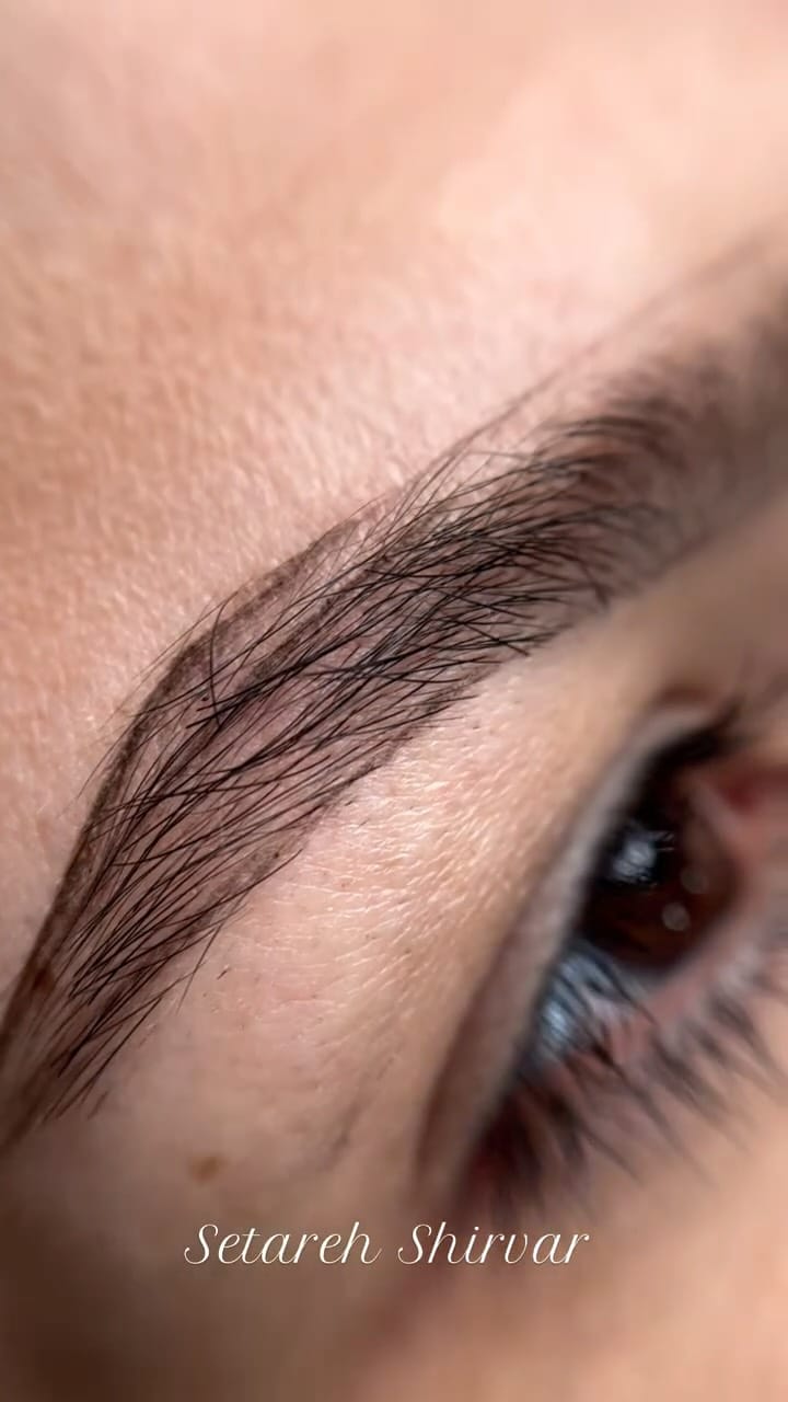 Post 2 by Setareh Shirvar on Instagram (video)