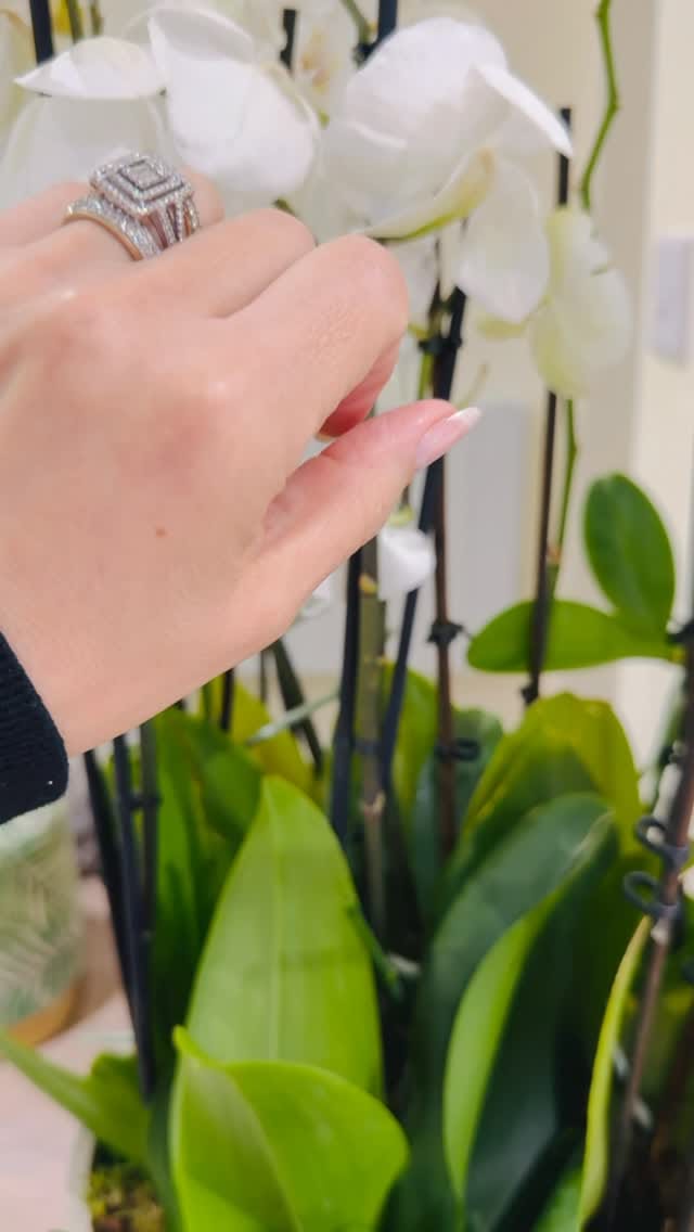 Post 3 by You&Me on Instagram (video)
