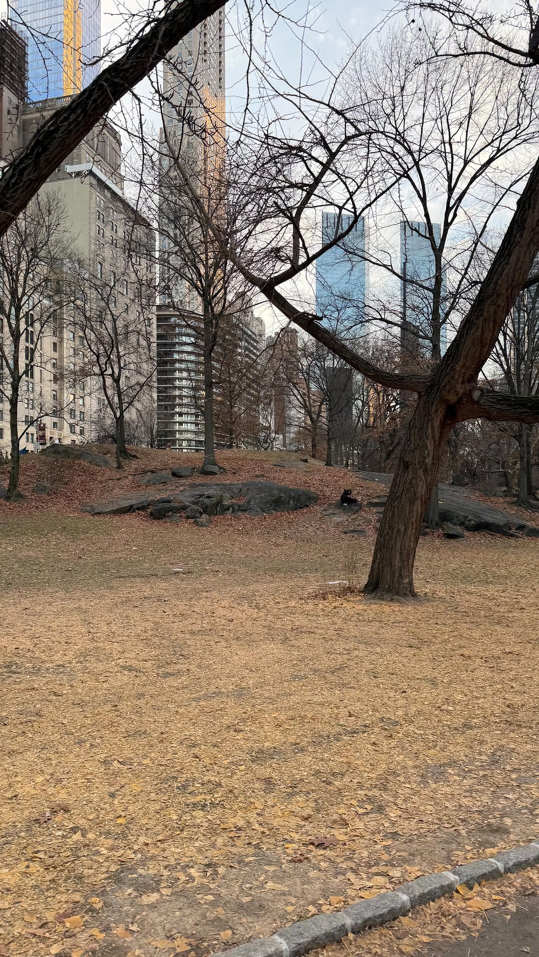 Post 3 by Jesse alvarez on Instagram (video)