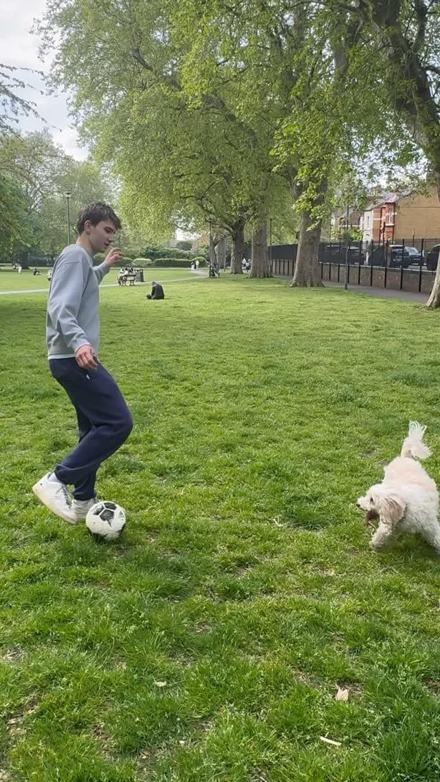 Post 5 by Jade Sparkes on Instagram (video)