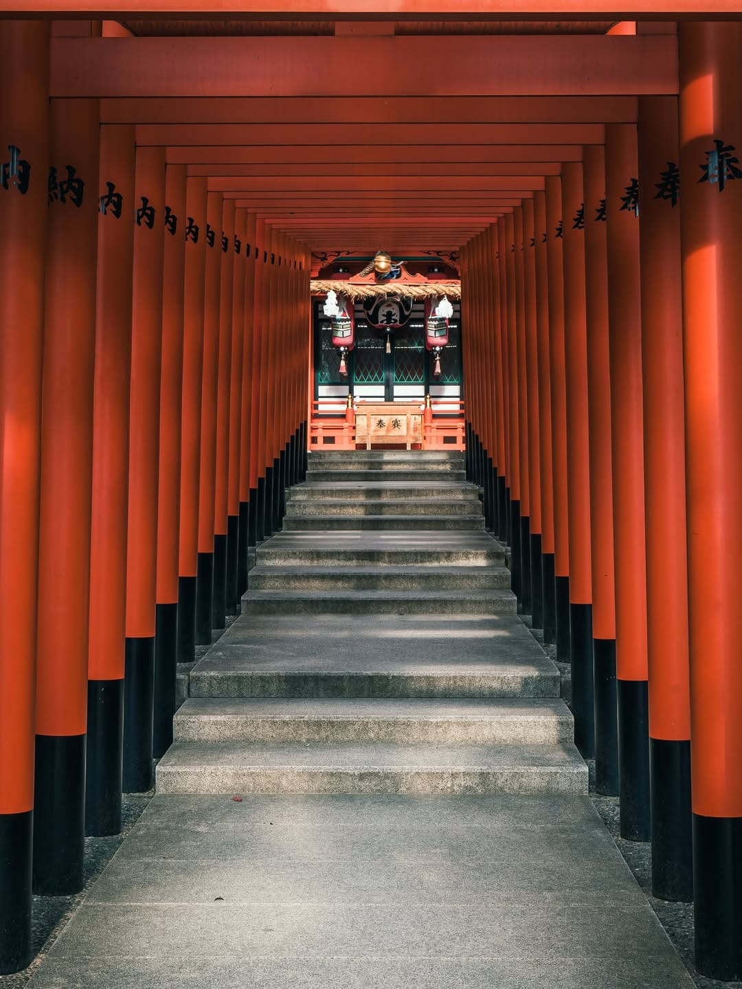 Post 4 by Lea D Photos on Instagram (carousel)