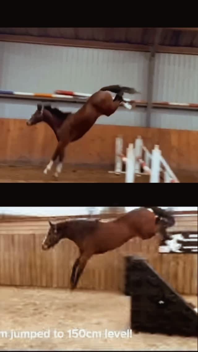 Post 1 by Bella Dunseath on Instagram (video)