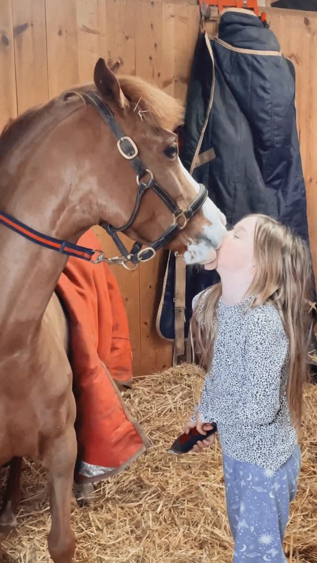 Post 3 by Bella Dunseath on Instagram (video)