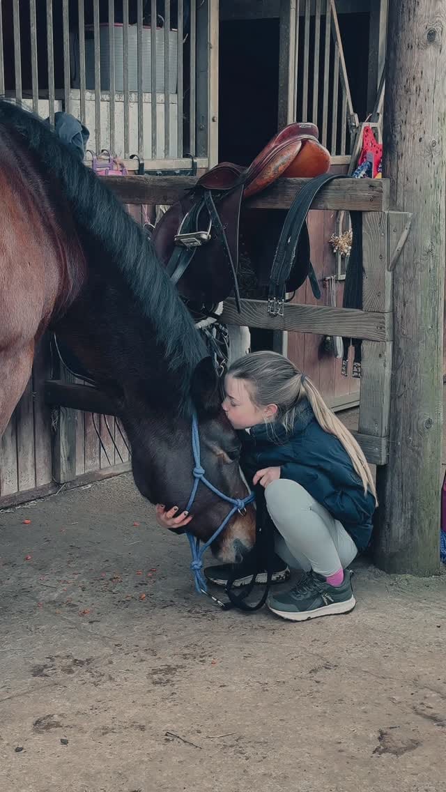 Post 4 by Bella Dunseath on Instagram (video)