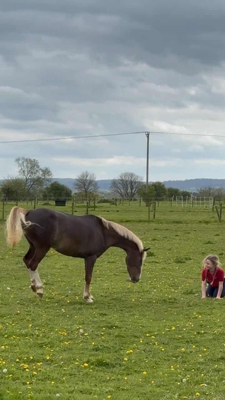 Post 9 by Bella Dunseath on Instagram (video)