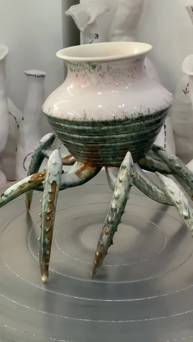 Post 4 by Rose Schmits on Instagram (video)