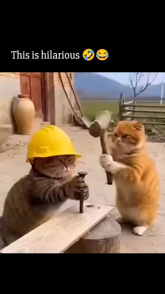 Post 3 by Tech Alchemy on Instagram (video)