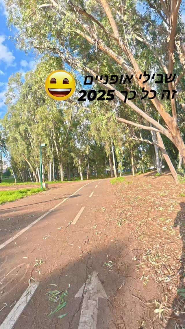 Post 4 by Mii2 Electric Scooter on Instagram (video)