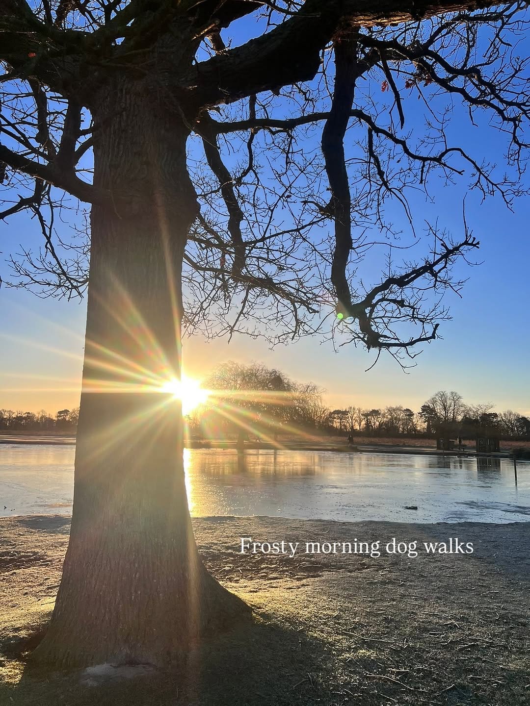 Post 7 by Adeline van den A on Instagram (carousel)