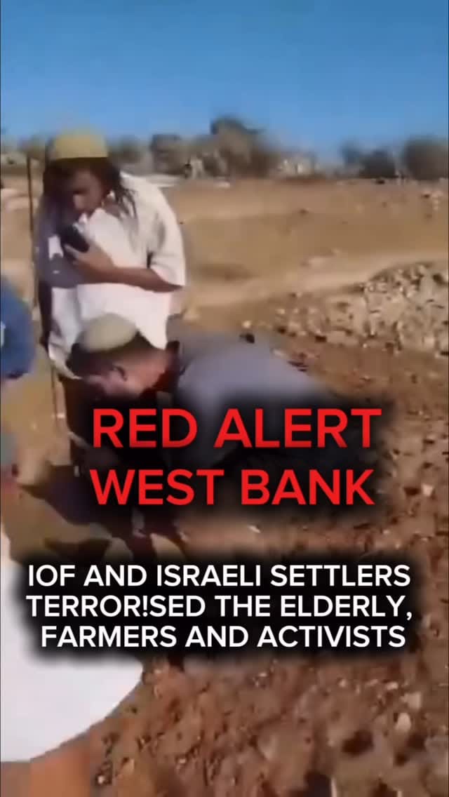 Post 4 by DrJennifer Cassidy on Instagram (video)