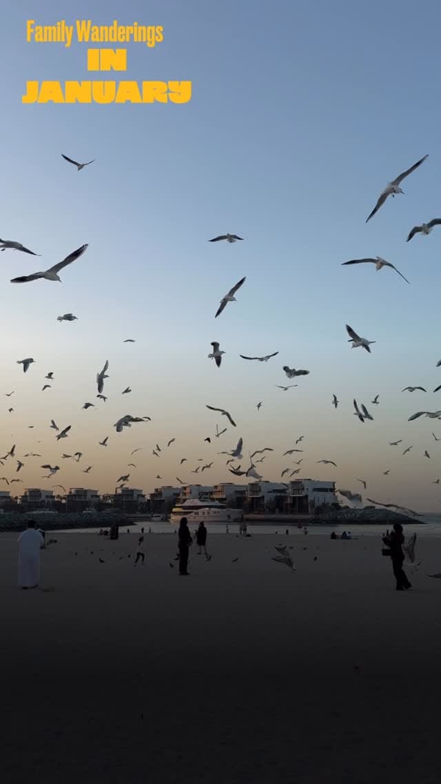 Post 6 by Leila Salieva on Instagram (video)