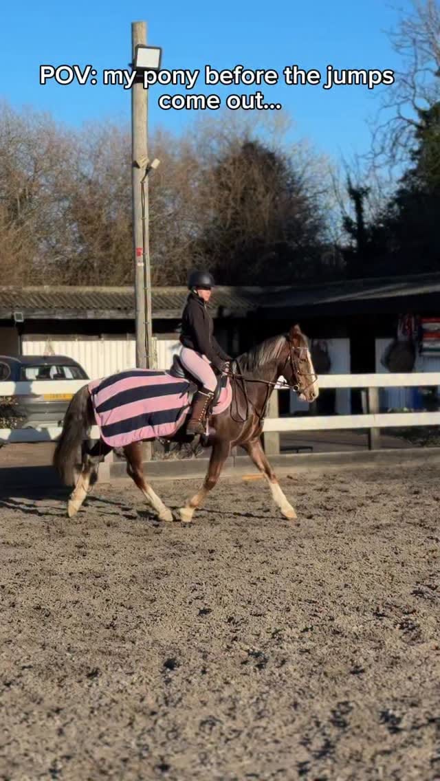 Post 7 by 𝙏𝙤𝙣𝙞 ♡ on Instagram (video)