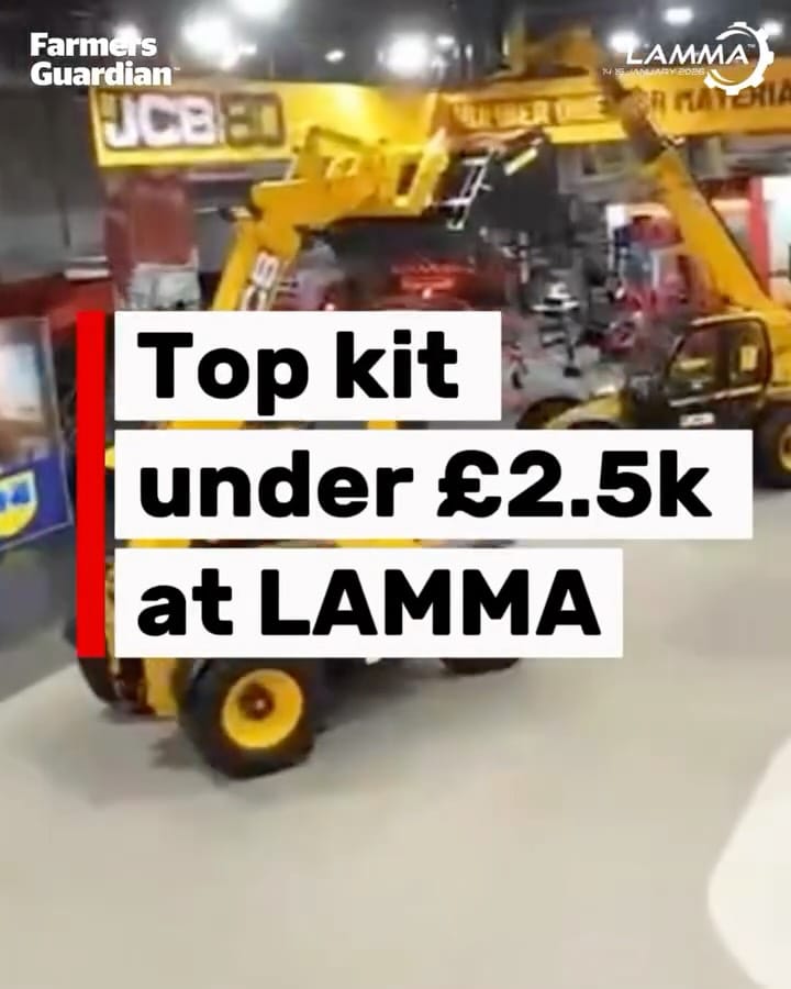 Post 4 by LAMMA on Instagram (video)