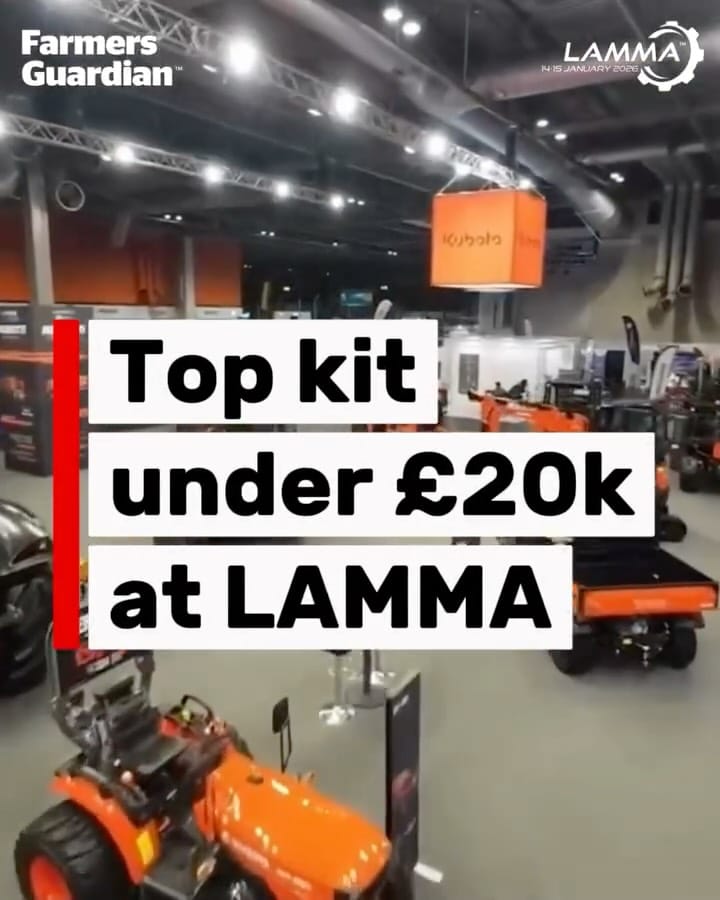 Post 2 by LAMMA on Instagram (video)