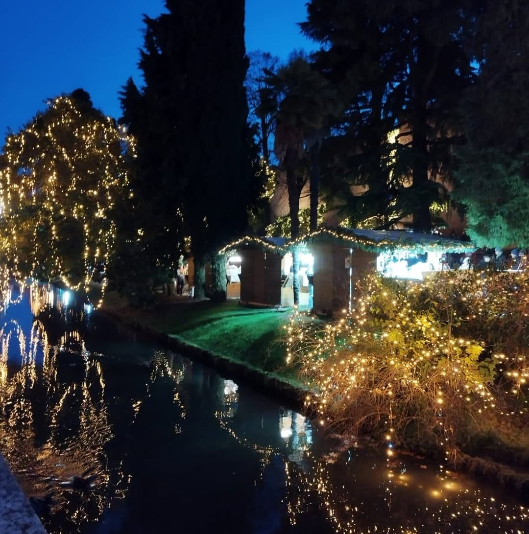 Post 8 by Fiorella Maccaro on Instagram (image)