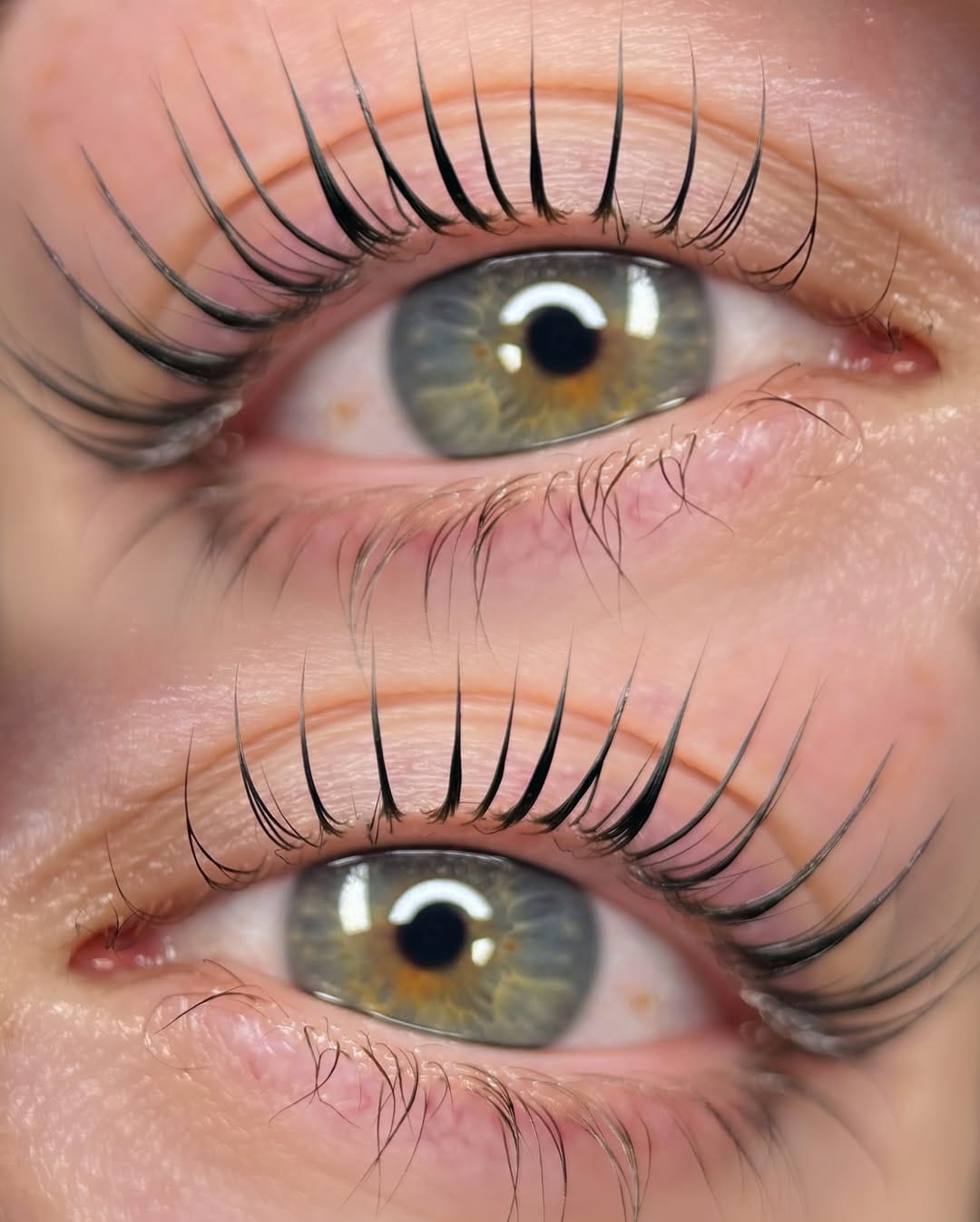 Post 7 by Shannon - Lash Stylist & Elleebana Educator🧡 on Instagram (image)