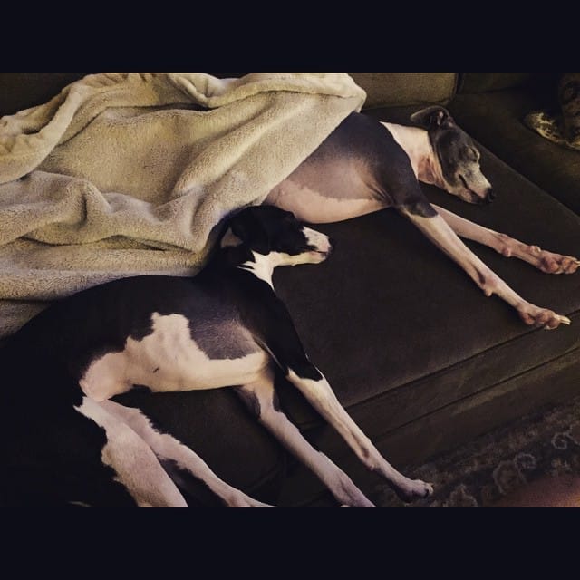 Post 4 by Ryan Allen on Instagram (image)