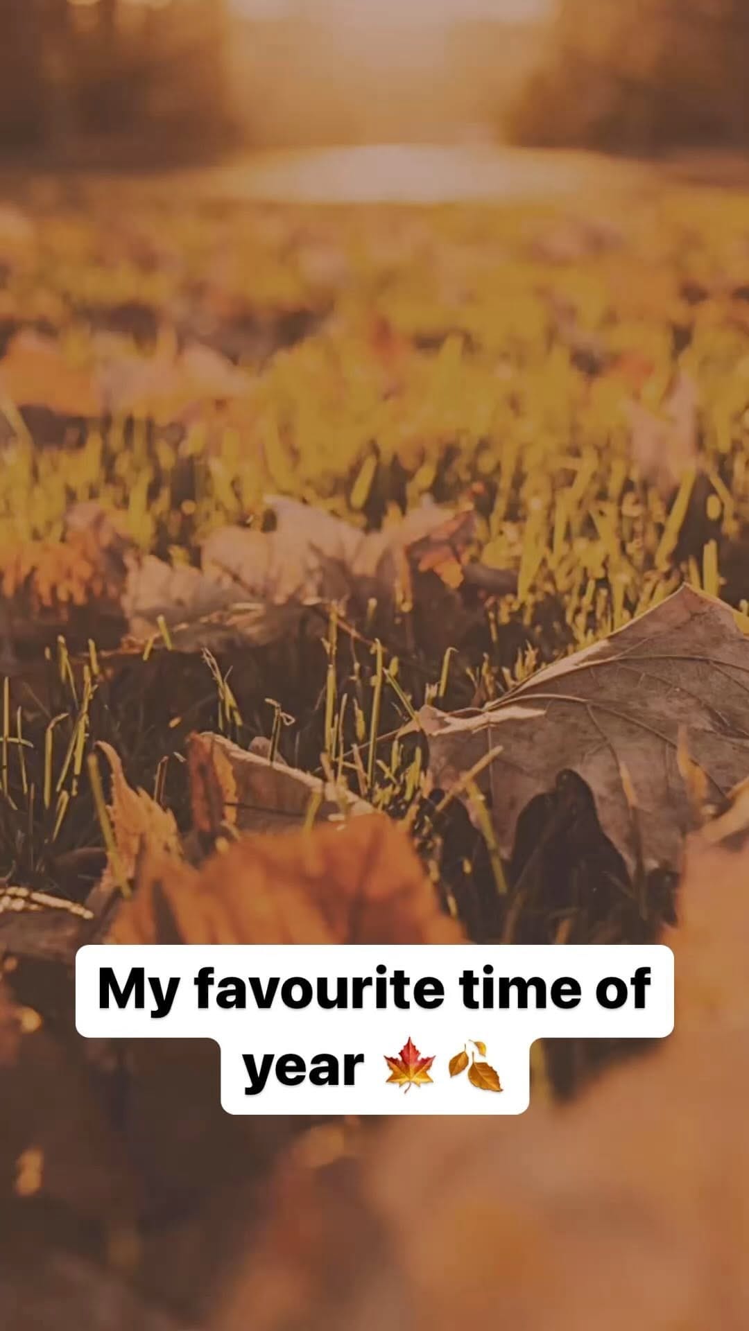 Post 4 by Melissa Dodge on Instagram (video)