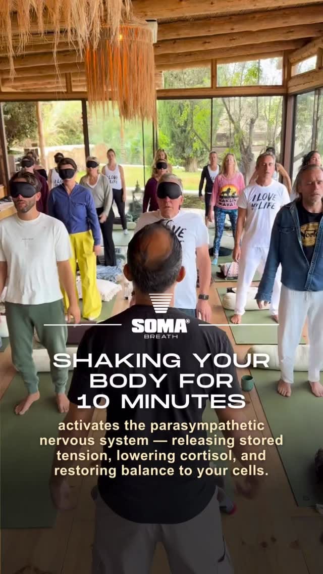 Post 9 by SOMA Breath | Breathwork, Training & Retreats on Instagram (video)