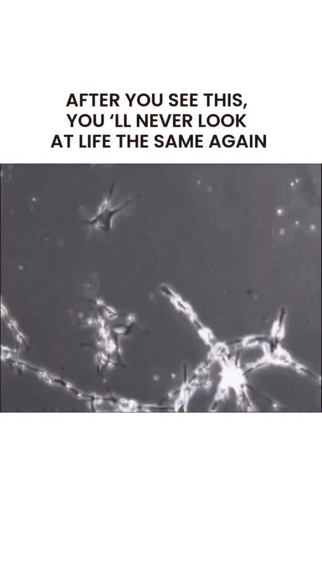 Post 1 by SOMA Breath | Breathwork, Training & Retreats on Instagram (video)