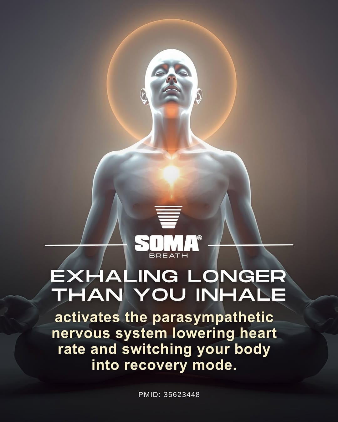 Post 8 by SOMA Breath | Breathwork, Training & Retreats on Instagram (image)